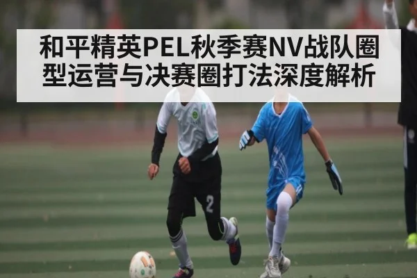 和平精英PEL秋季赛NV战队圈型运营与决赛圈打法深度解析